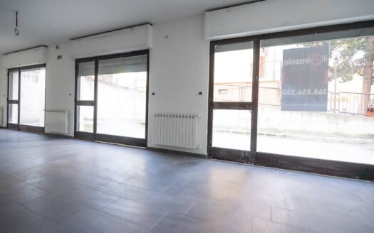 Locale commerciale (Piazza d’Armi) Via Pastorelli