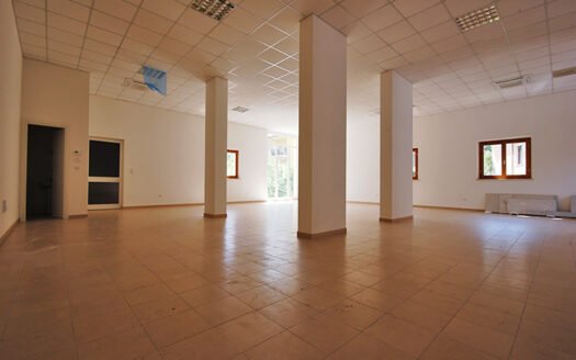 Locale artigianale con annesso magazzino e cortile esterno