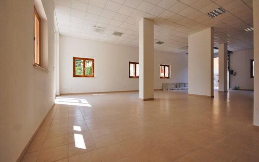 Locale artigianale con annesso magazzino e cortile esterno