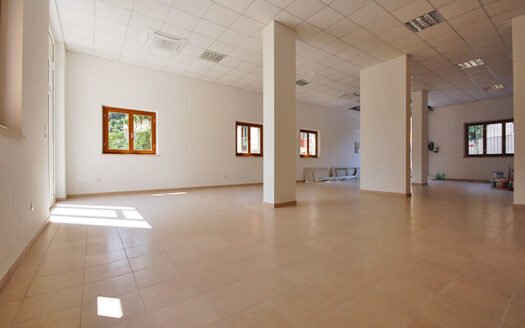 Locale artigianale con annesso magazzino e cortile esterno