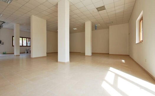 Locale artigianale con annesso magazzino e cortile esterno