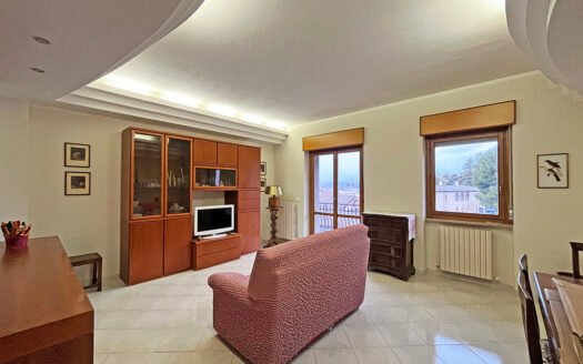 Appartamento Luminoso con Vista Panoramica in Affitto